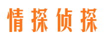 高安侦探社